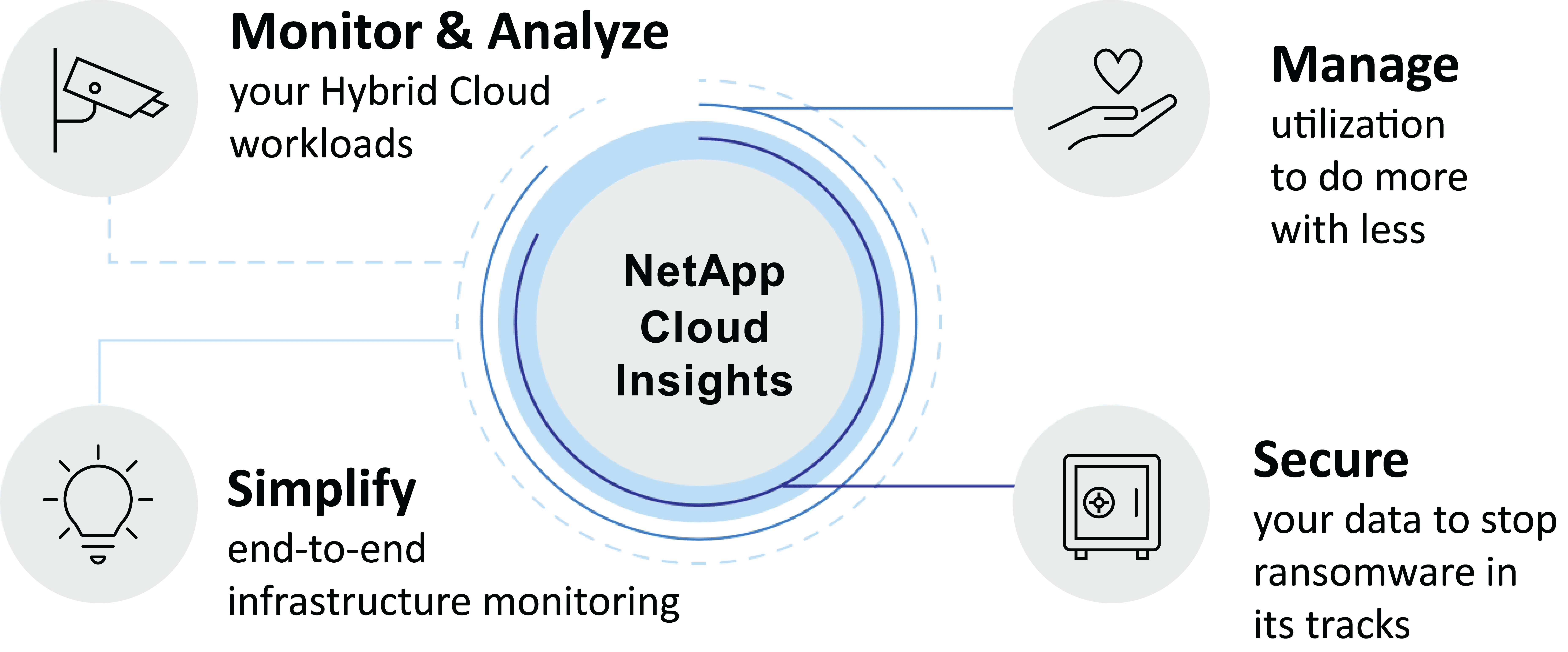 Health Netapp NetApp Cloud Health and Optimization - CloudPro Services