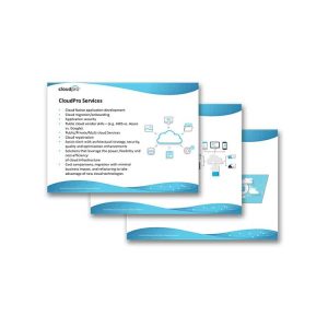 Customer Presentation