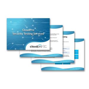 Vulnerability Testing Service